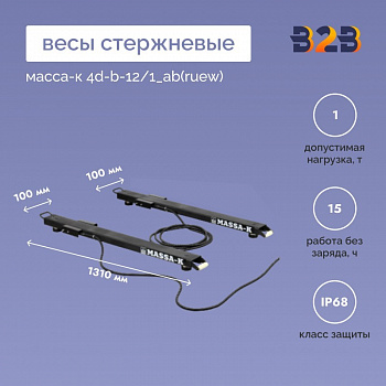 Весы стержневые МАССА-К 4D-B-12/1_AB(RUEW)